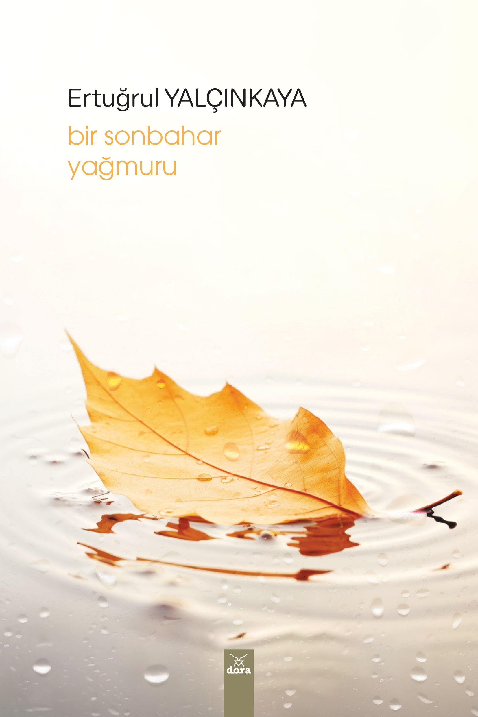 Bir Sonbahar Yağmuru  | 631 | Dora Yayıncılık